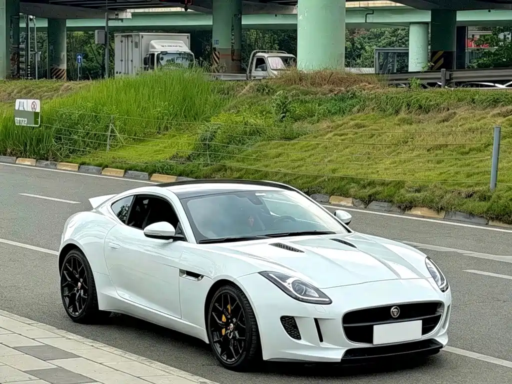 Jaguar F-TYPE — миниатюра 2