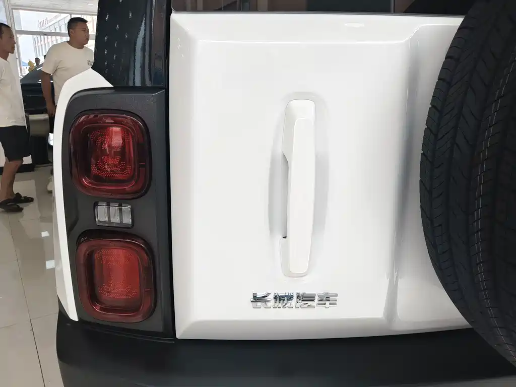 Haval Menglong New Energy — миниатюра 14