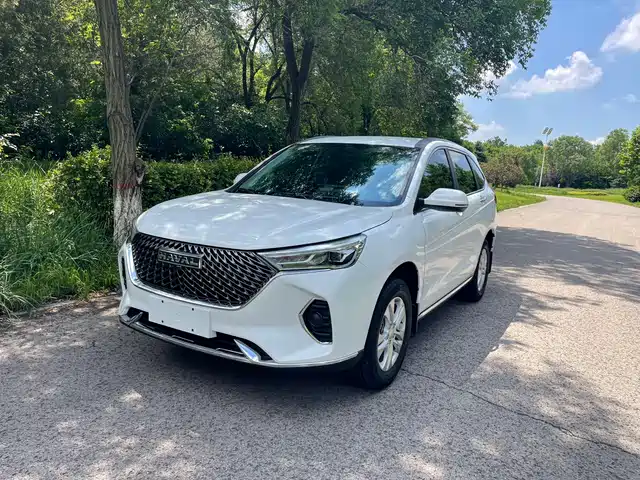 2024 Haval M6