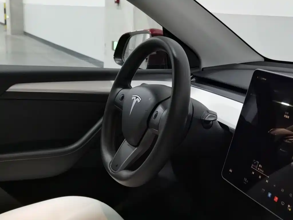 Tesla Model Y — миниатюра 22
