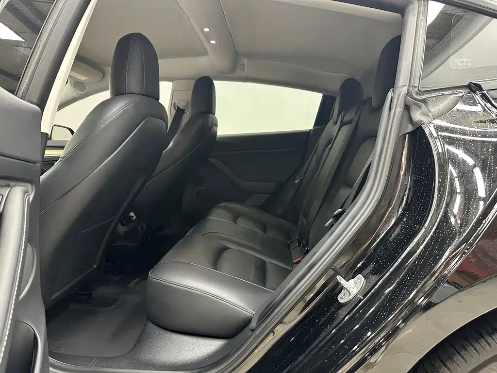 Tesla Model 3 — миниатюра 15