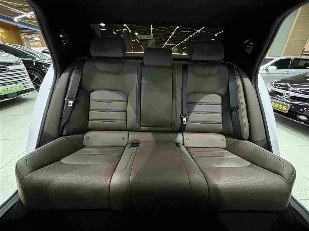 BYD Han DM 4WD Performance Edition Luxury Type, фото 19