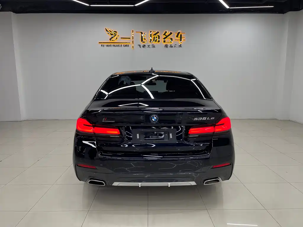 BMW 5 SERIES NEW ENERGY