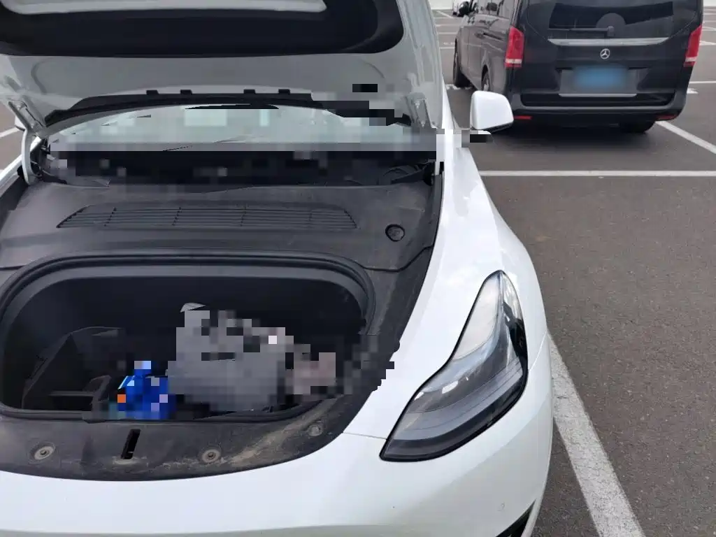Tesla Model Y — миниатюра 20