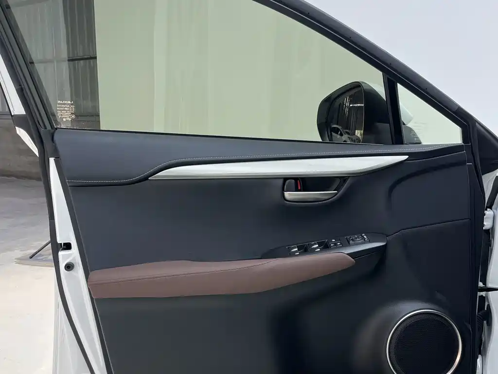 Lexus NX — миниатюра 12