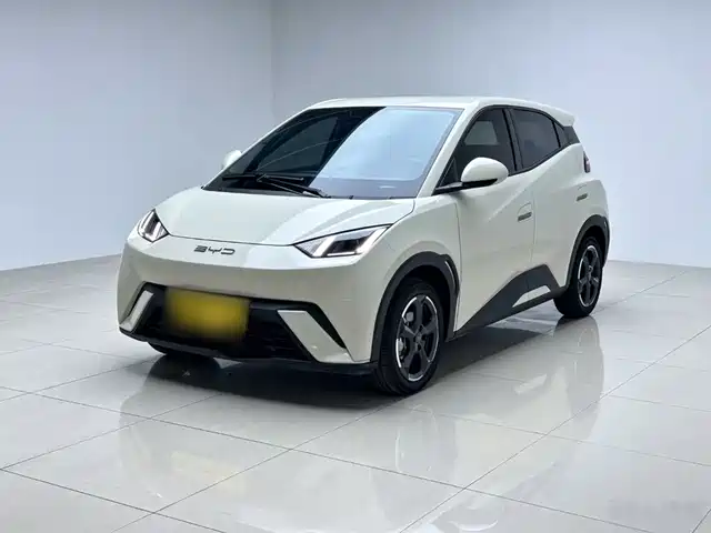 2024 BYD Seagull