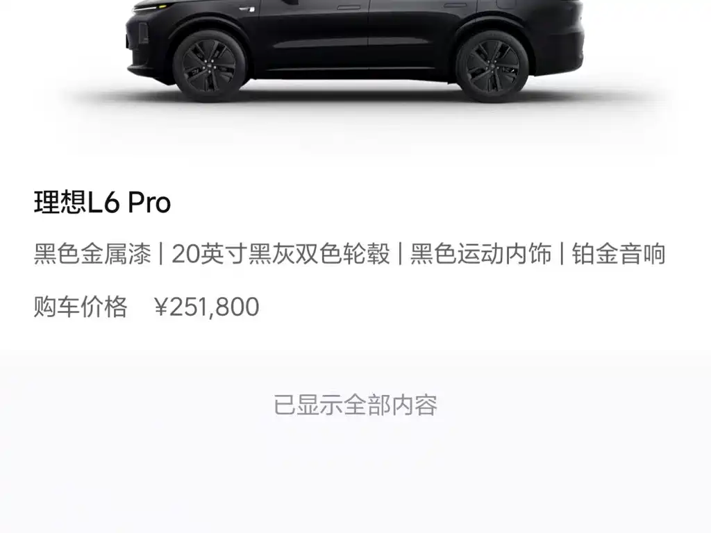 Li Auto Li L6 — миниатюра 11