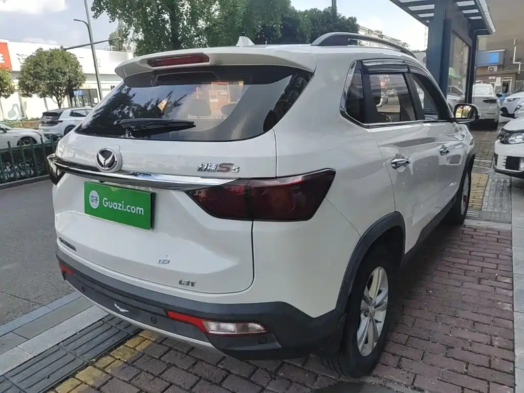 Huasu Huansu S5 — миниатюра 7