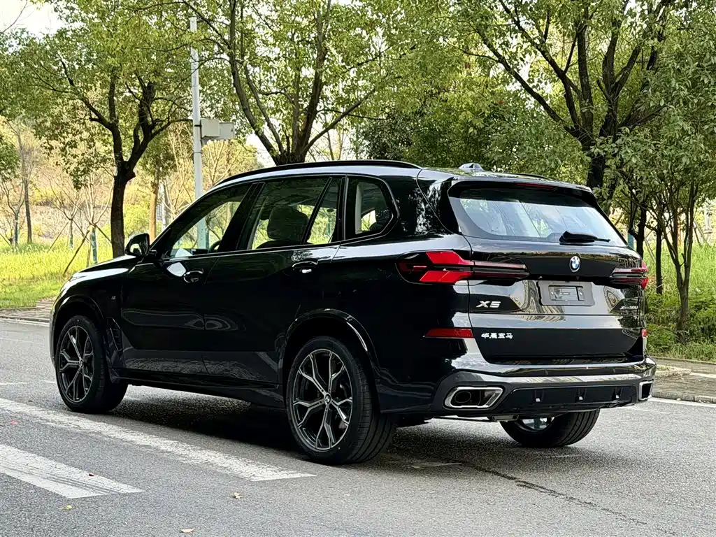 BMW X5 — миниатюра 7