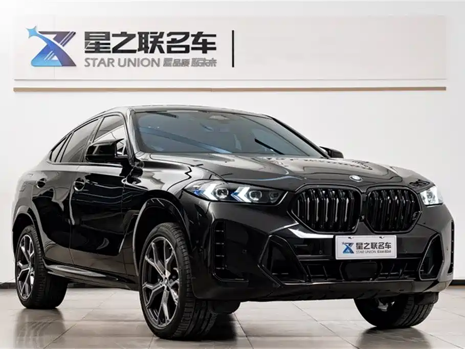 BMW X6
