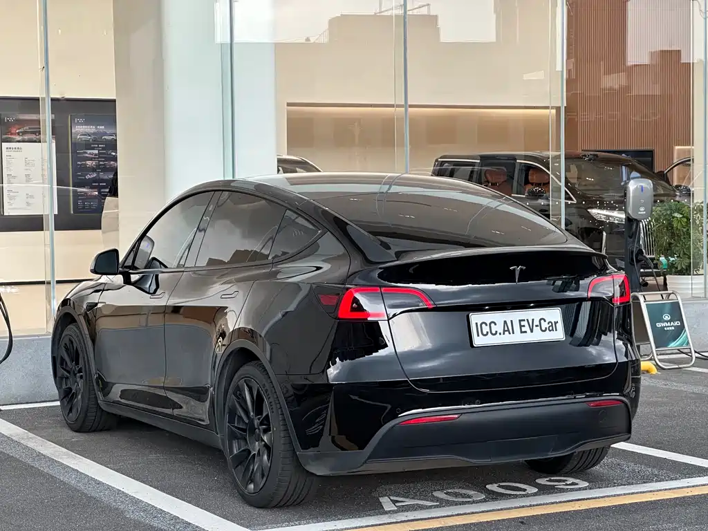 Tesla Model Y — миниатюра 13