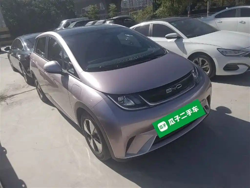 BYD DOLPHIN