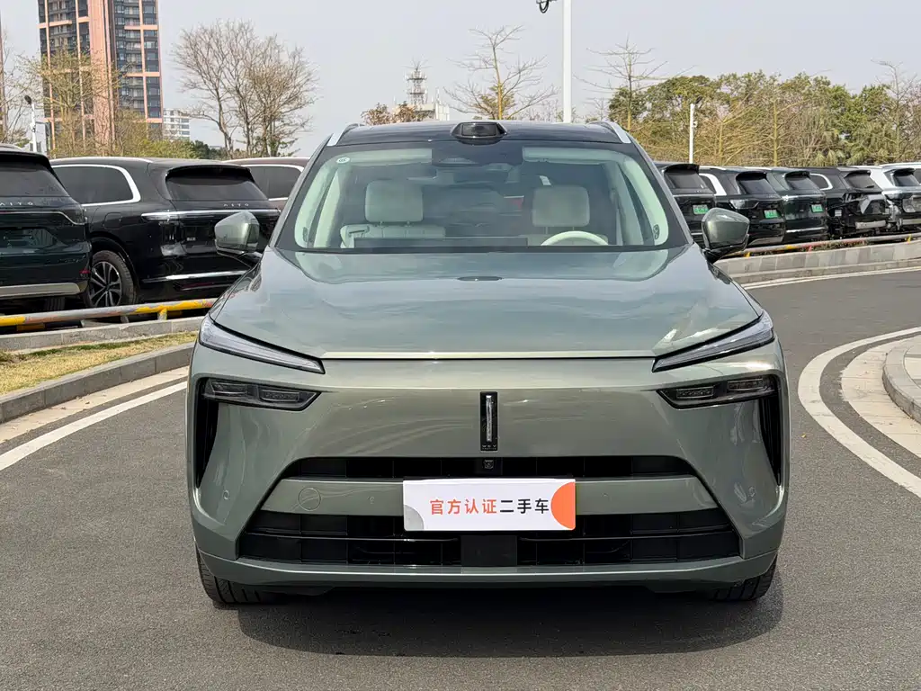 WEI PAI WEI BRAND BLUE MOUNTAIN