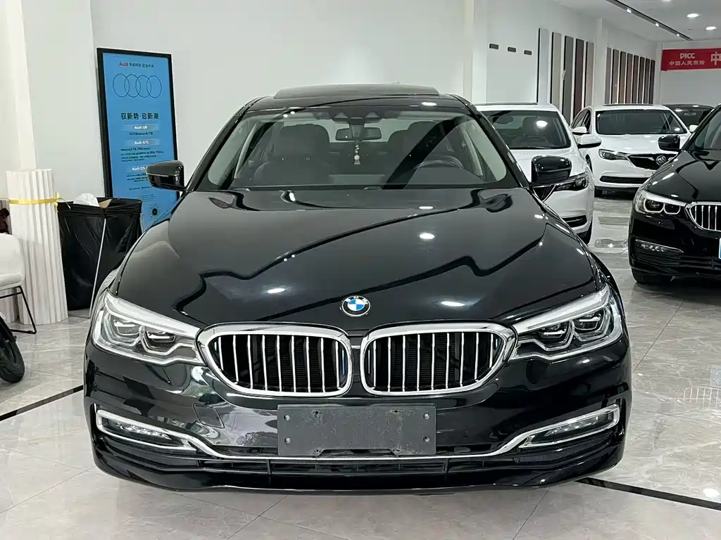 BMW 5 SERIES NEW ENERGY