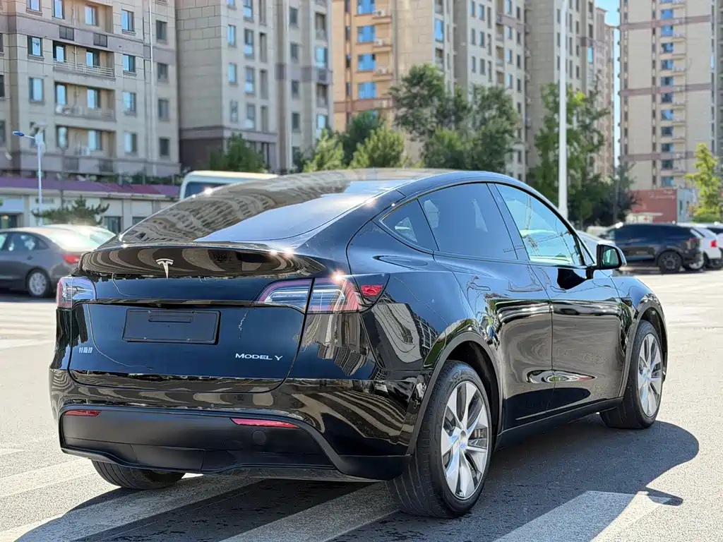 Tesla Model Y — миниатюра 12
