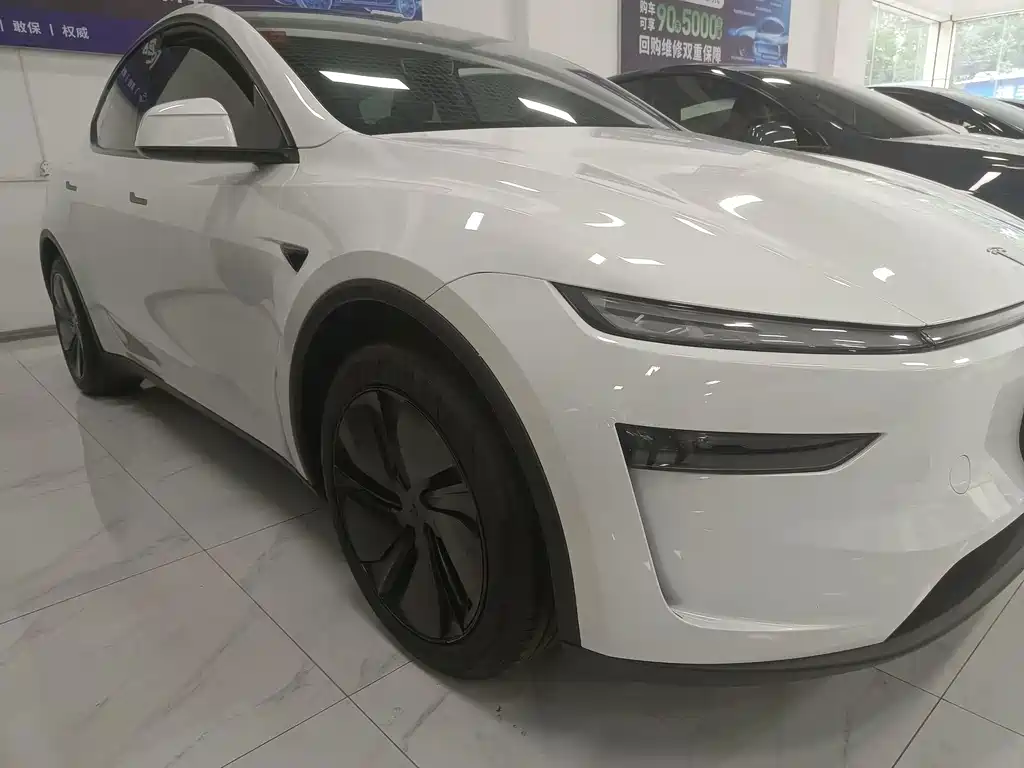 Tesla Model Y — миниатюра 3