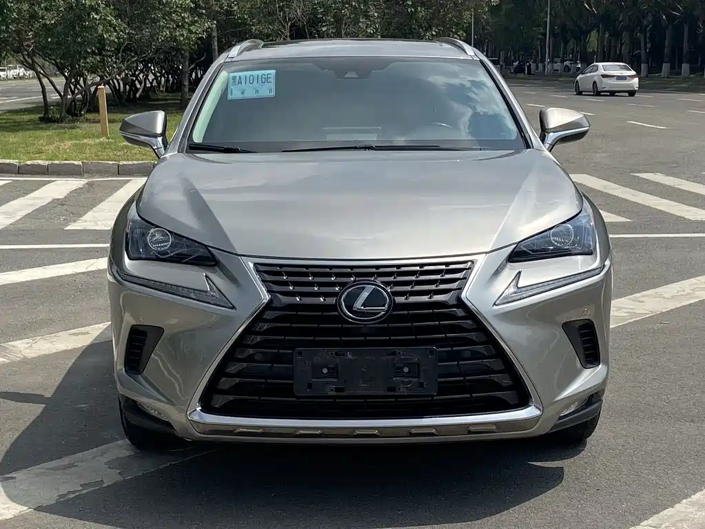 Lexus NX 200 AWD Sharp Fashion Edition China VI, фото 3