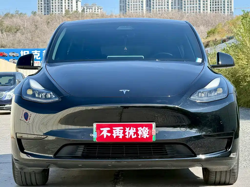 Tesla Model Y — миниатюра 2