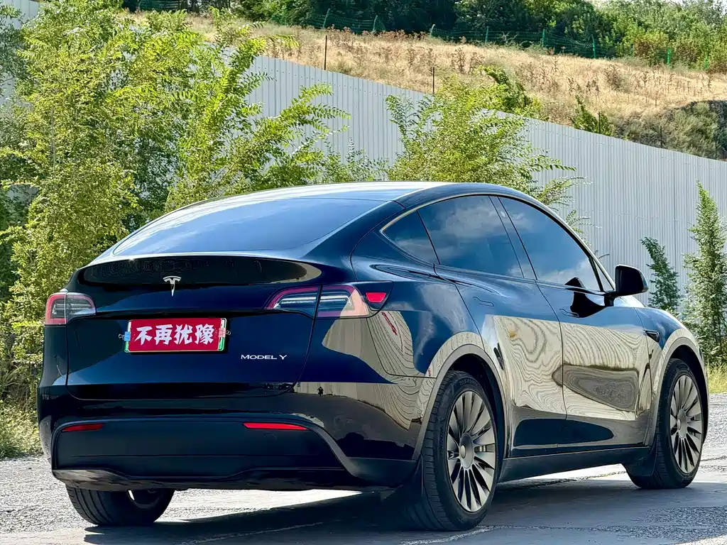 Tesla Model Y — миниатюра 9
