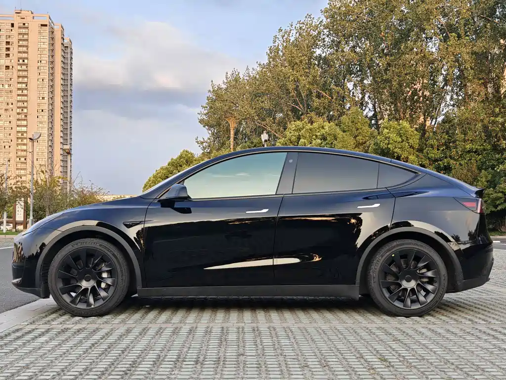 Tesla Model Y — миниатюра 3