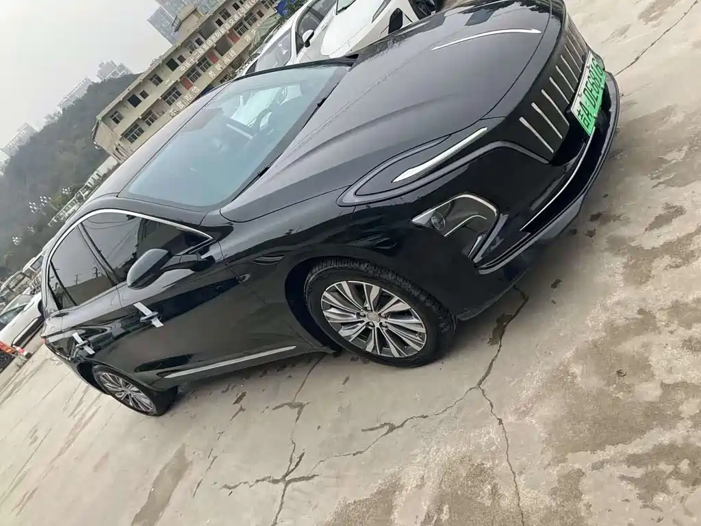 Hongqi HONGQI E QM5