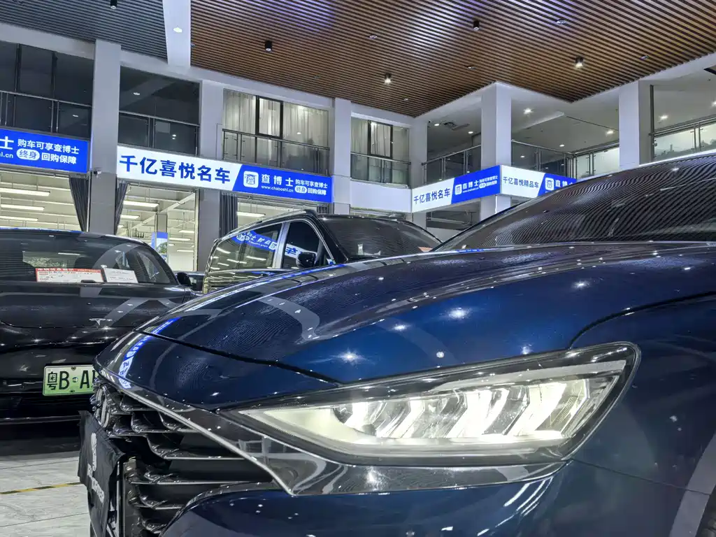 Hyundai Fista - фото 6