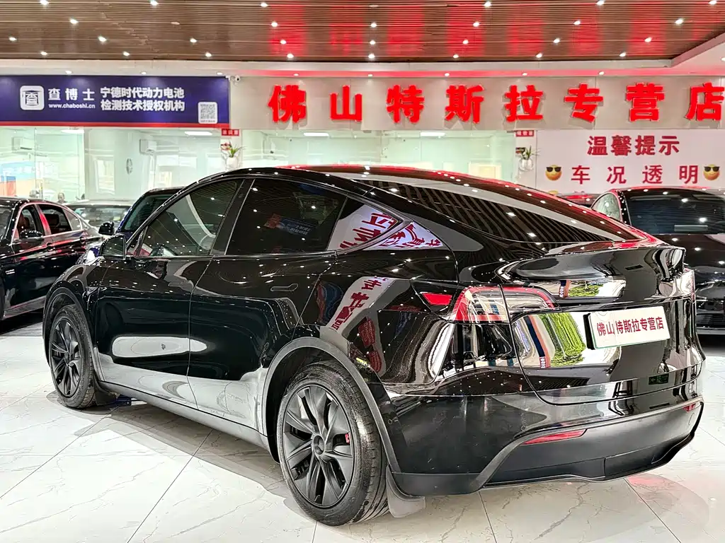 Tesla Model Y — миниатюра 3