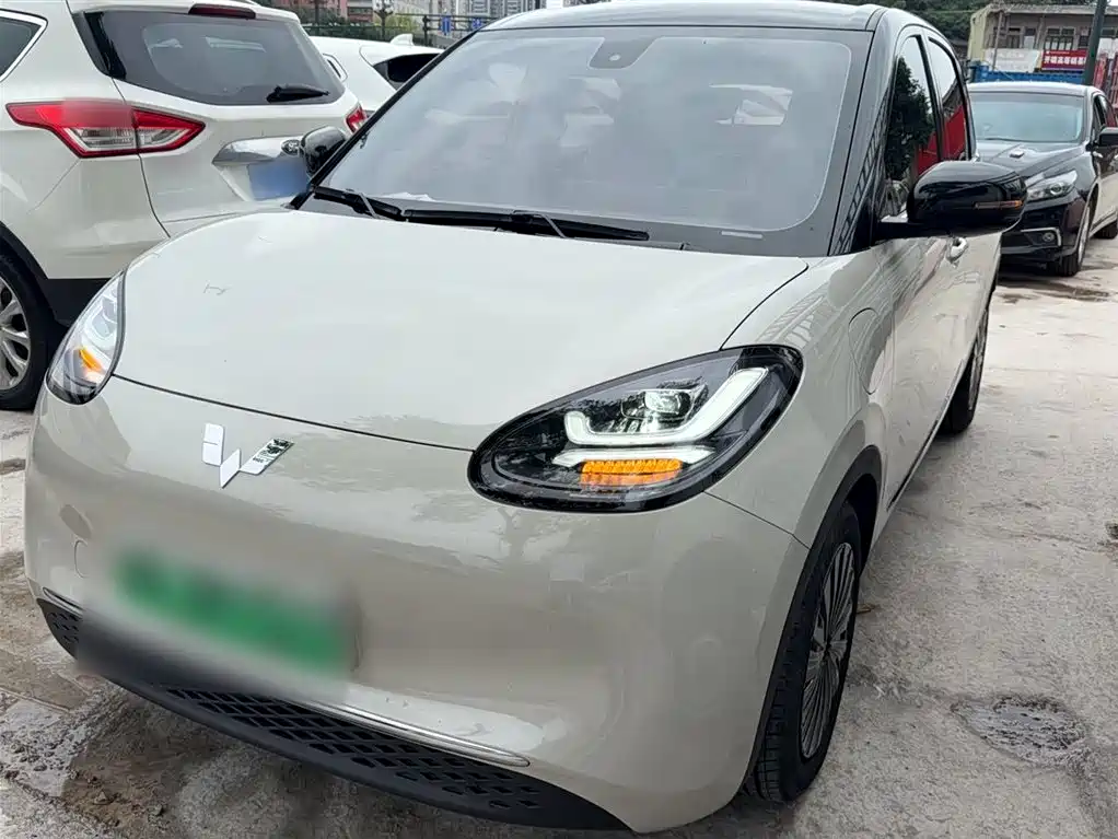 Wuling Binguo 2023 333km +
