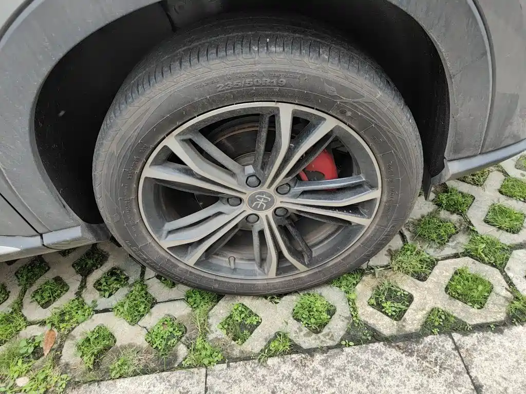 BYD PLUS — миниатюра 24