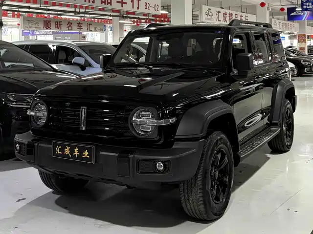 2021 TANK 300