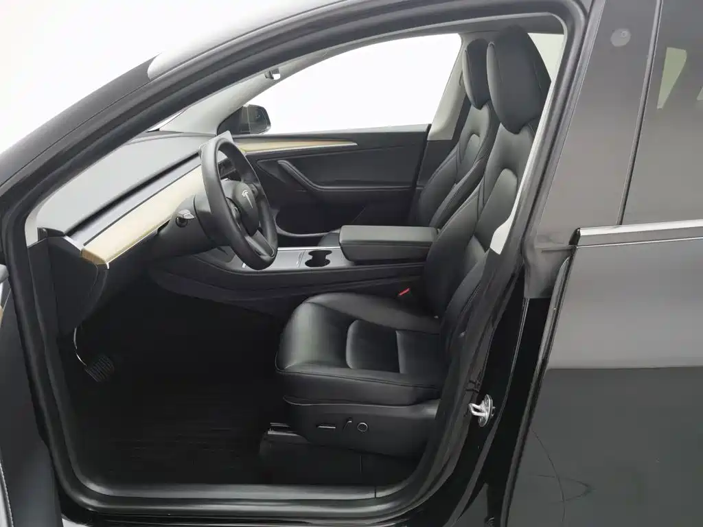 Tesla Model Y — миниатюра 10