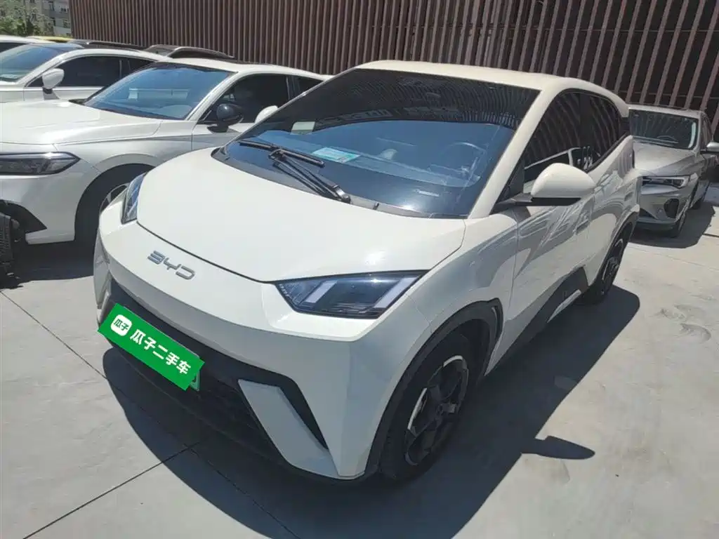Byd Seagull 2024