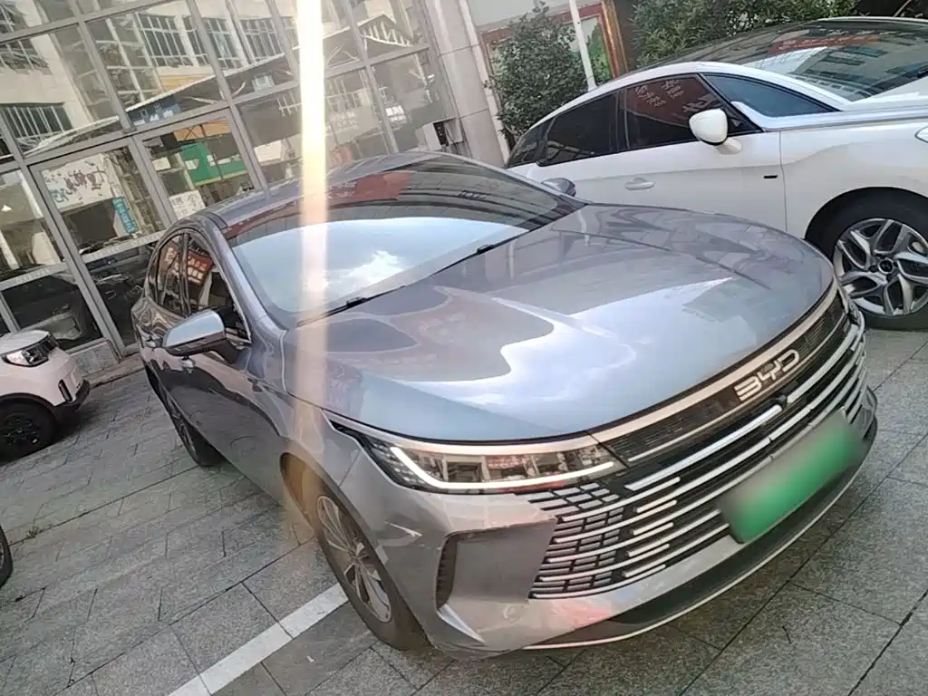 BYD Destroyer 05 2024 DM-i 55KM Luxury
