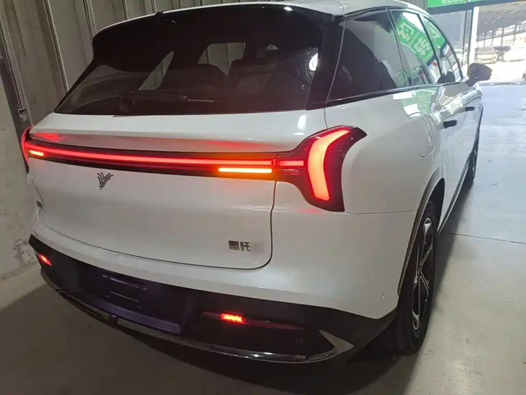 Neta L 2024 310