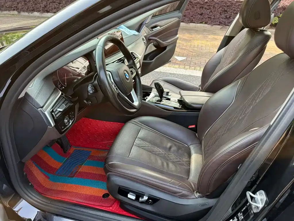 BMW 5 Series 5 2019 530Li Premium Luxury