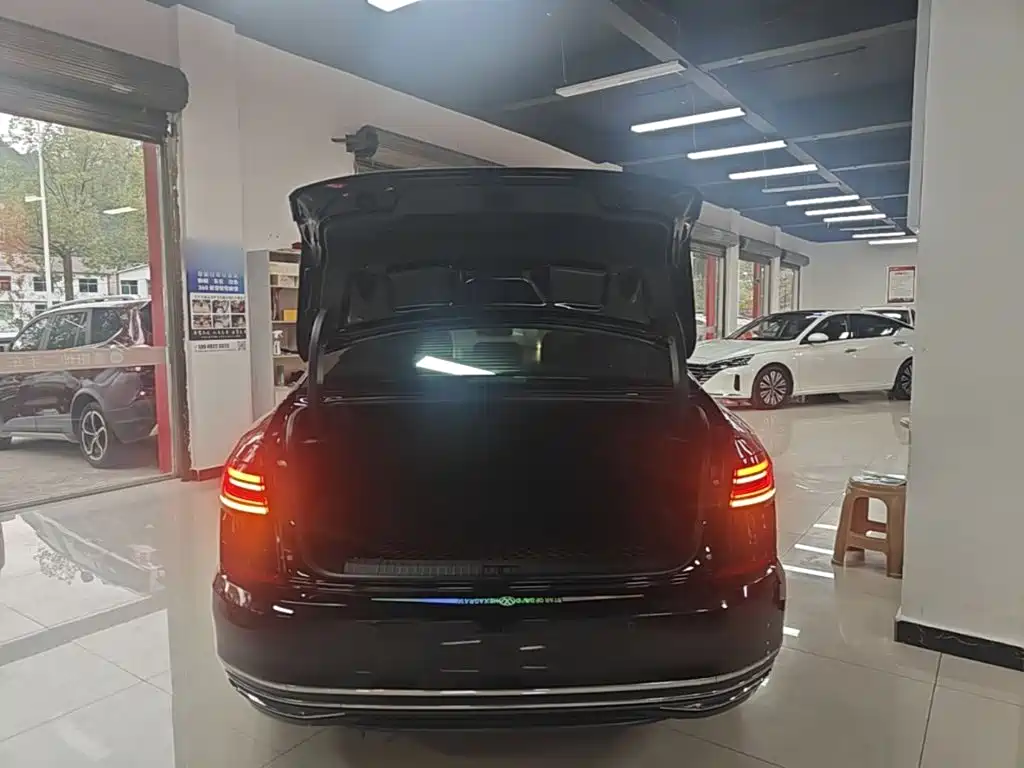 Volkswagen Passat — миниатюра 19