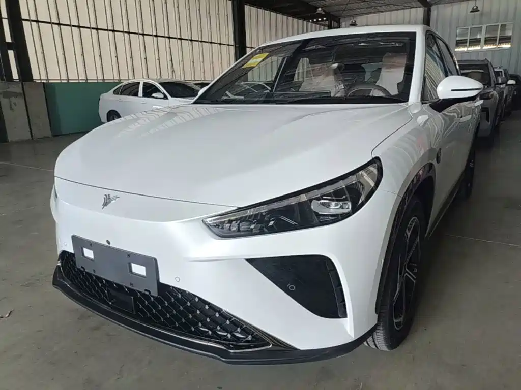Neta L 2024 310