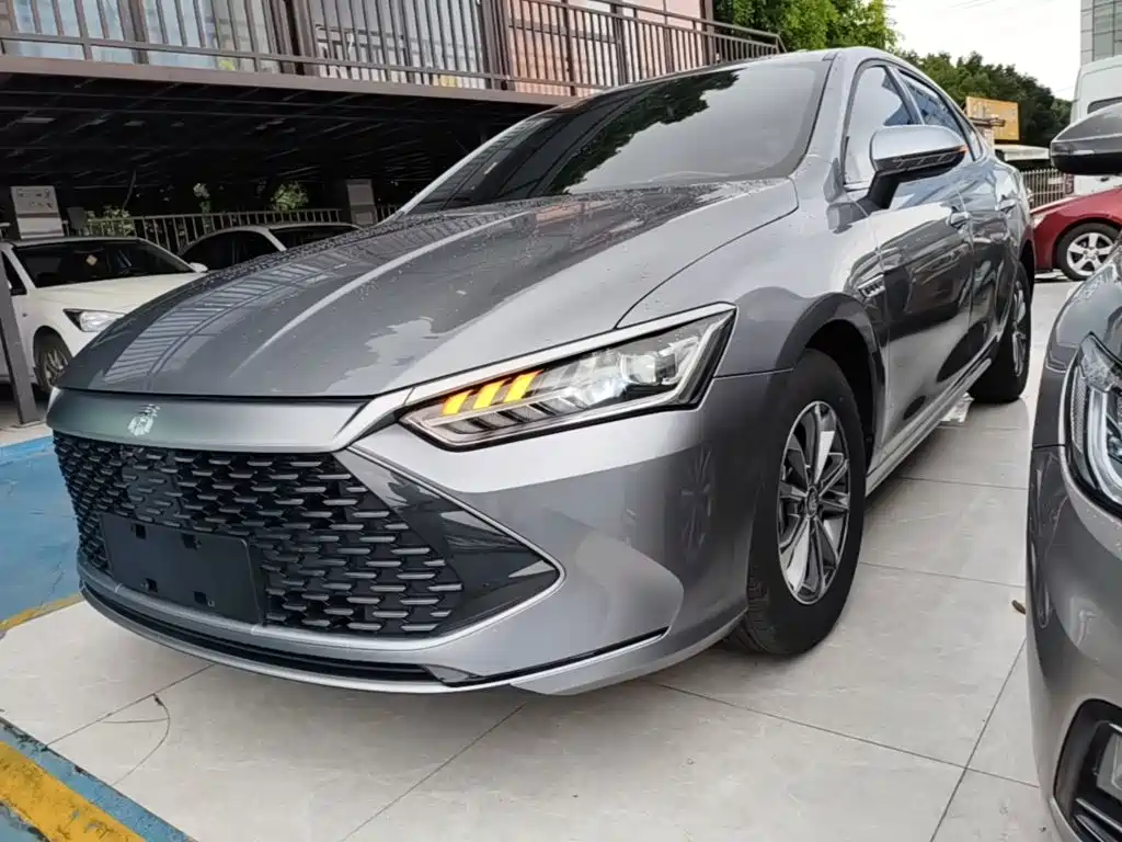 BYD Qin Plus PLUS 2024 DM-i 55KM Lead