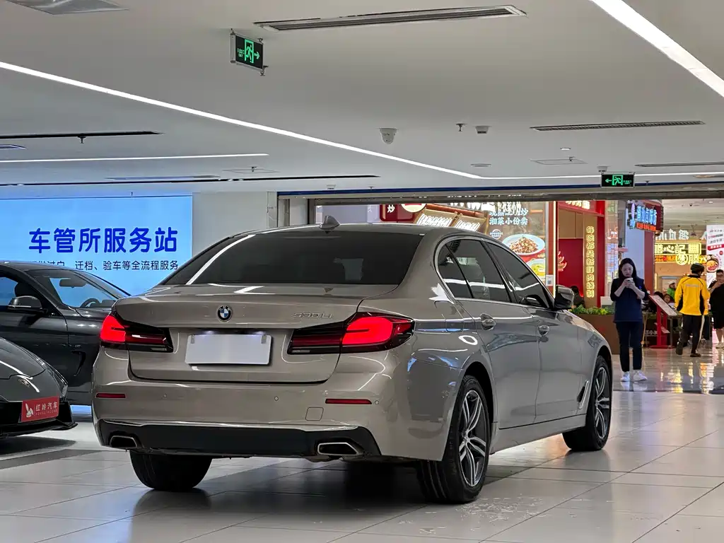 BMW 5 Series 5 2021 530Li Lead Luxury