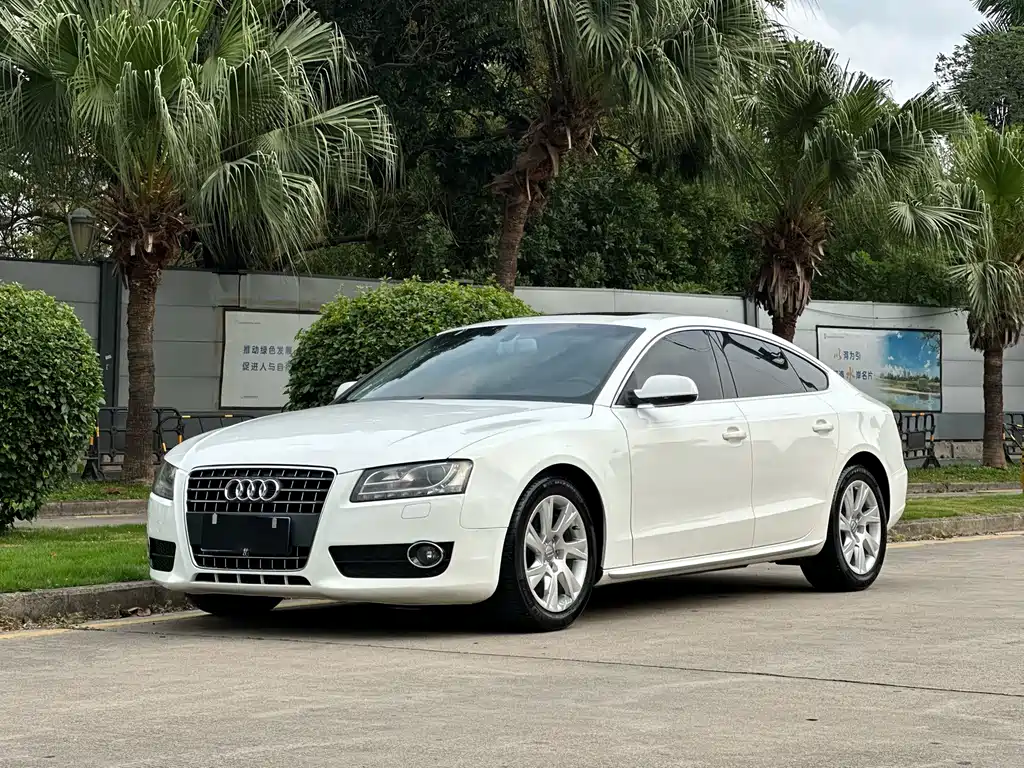 Audi A5 (Import) 2010