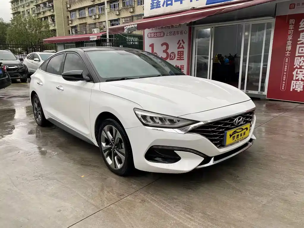 Hyundai Fista — миниатюра 2