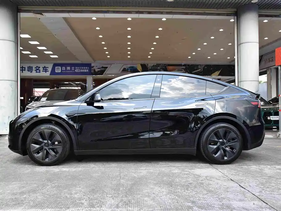 Tesla Model Y — миниатюра 5