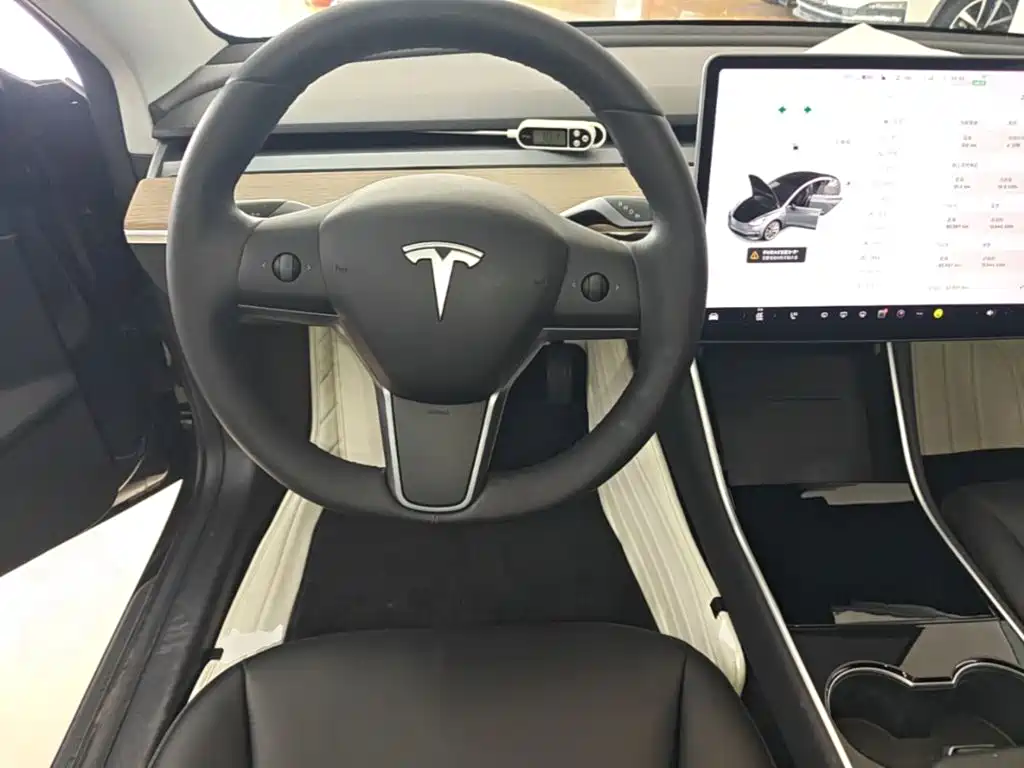 Tesla Model 3 — миниатюра 11