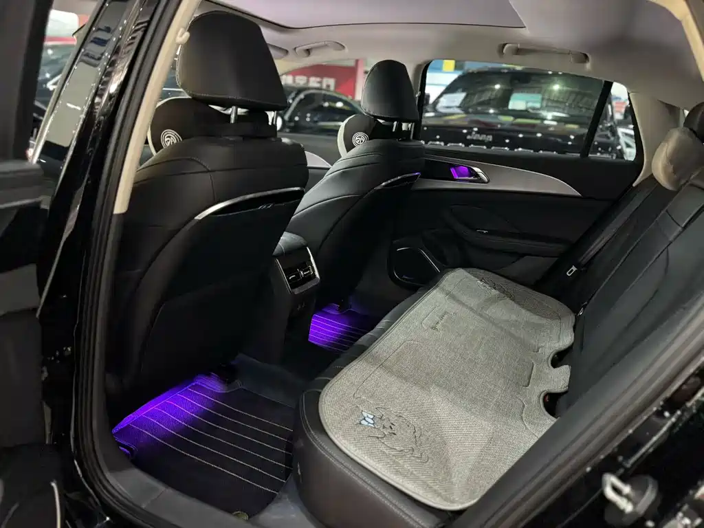 Hongqi H5 2023 2.0T AT
