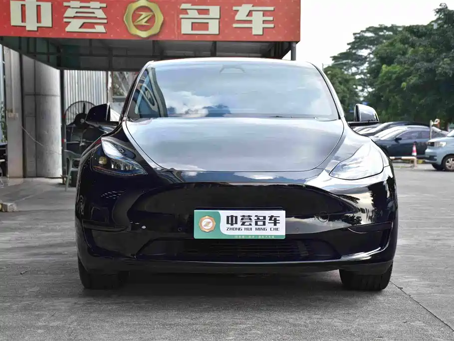 Tesla Model Y — миниатюра 3
