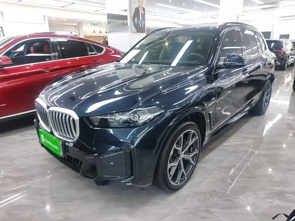 BMW X5 — миниатюра 2