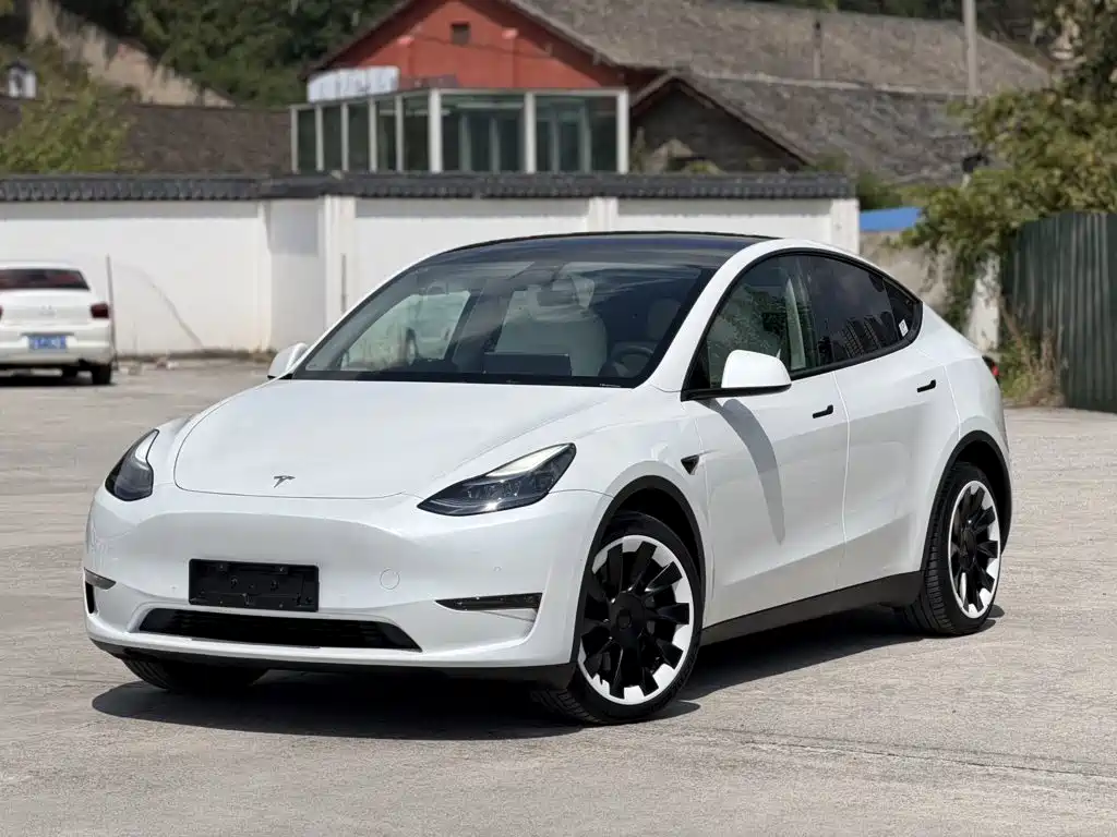 Tesla Model Y — миниатюра 2