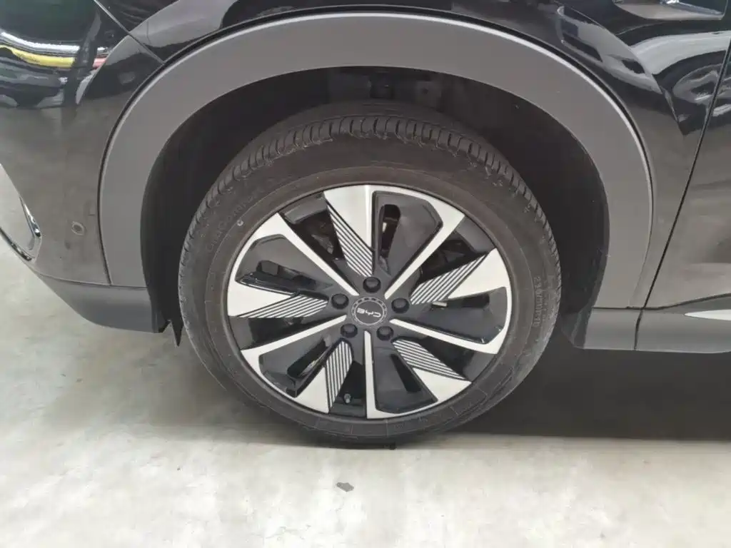 BYD PLUS New Energy — миниатюра 23