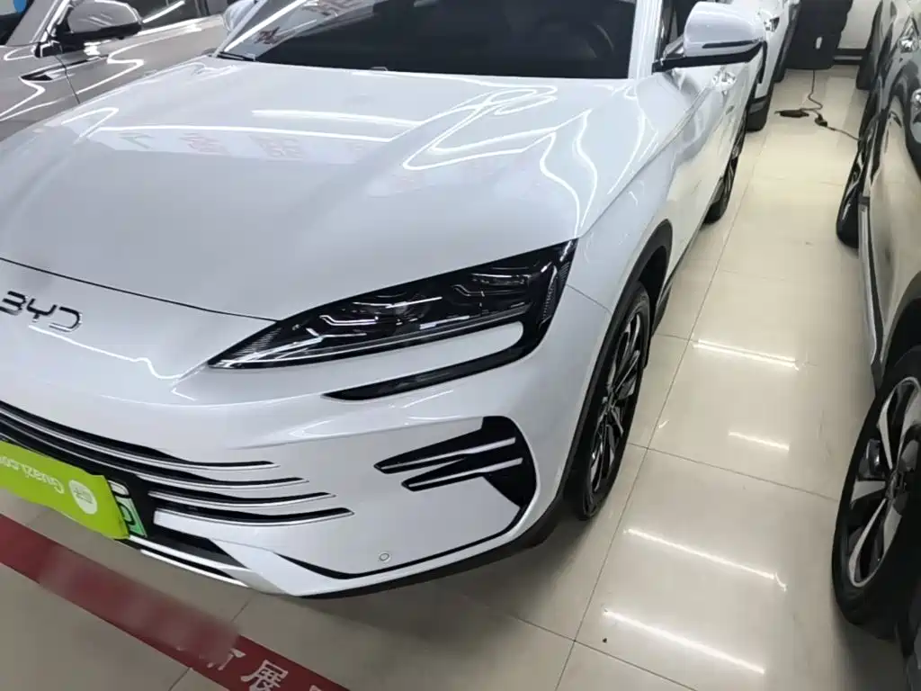 BYD PLUS New Energy — миниатюра 24