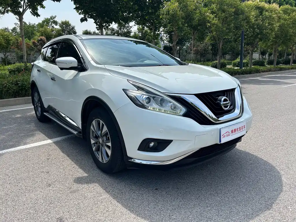 Nissan Murano 2019 2.5L XL Luxury VI